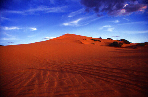 Top 5 Sand Dune Destinations