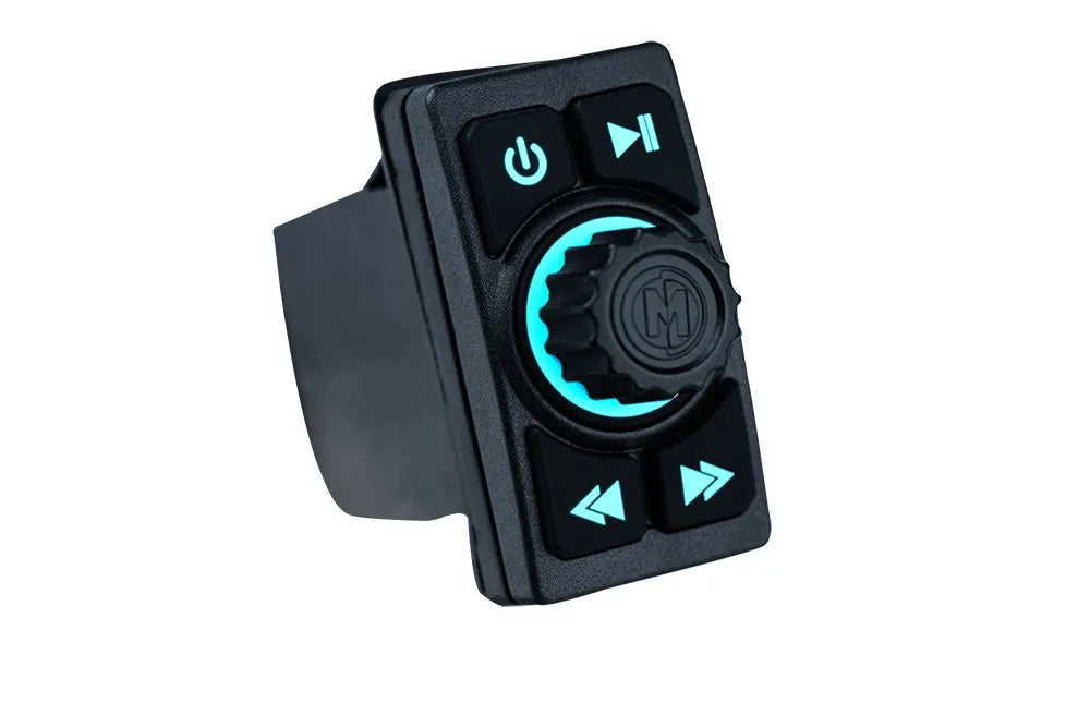 Switch size BT Controller w/Aux and USB