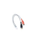 RCA Output For Polaris Standard Head Unit
