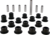 Rear Ind. Suspension Kit