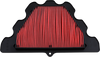 HIFLOFILTRO Replacement Air Filter - Kawasaki HFA2924