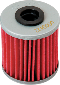 HIFLOFILTRO Oil Filter HF207