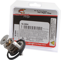 ALL BALLS Replacement Thermostat - Polaris 16-3004