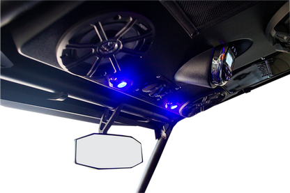 HOPPE INDUSTRIES Audio Shade - 4 Speakers and 1 Subwoofer - RZR HPKT-0075A