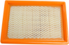 HIFLOFILTRO Replacement Air Filter - Aprilia/Moto Guzzi HFA6101