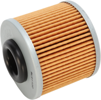 HIFLOFILTRO Oil Filter HF569