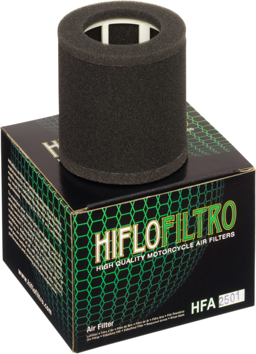 HIFLOFILTRO Replacement OE Air Filter - Kawasaki HFA2501