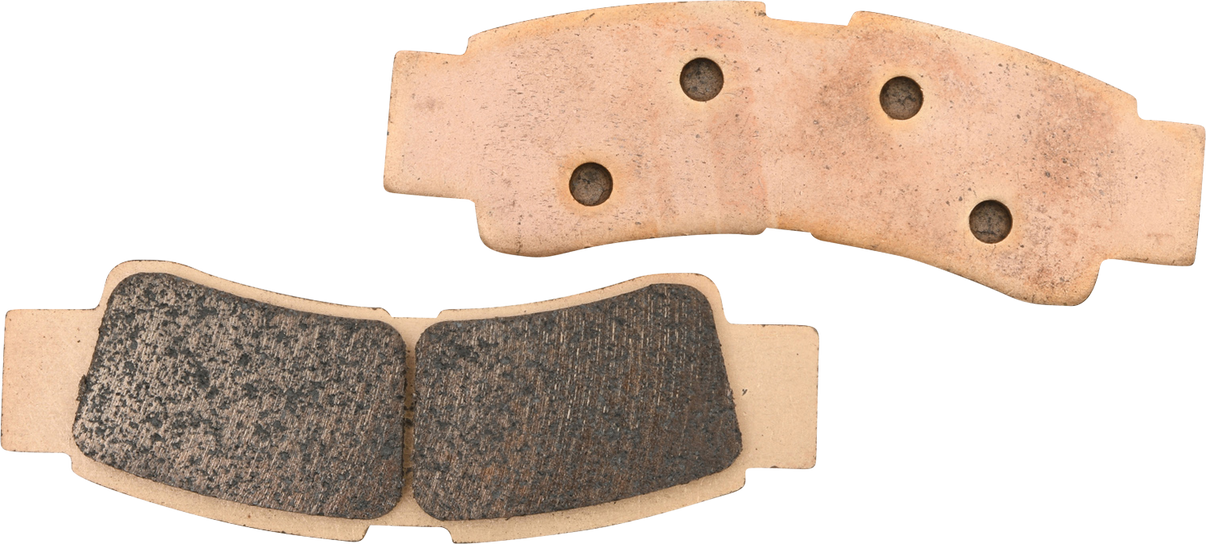 ALL BALLS Sintered Brake Pads 18-8059