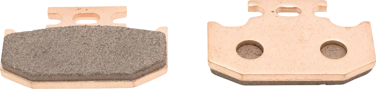 ALL BALLS Sintered Brake Pads 18-8055