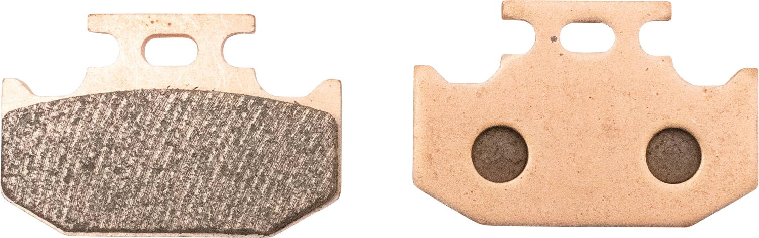 ALL BALLS Sintered Brake Pads 18-8055