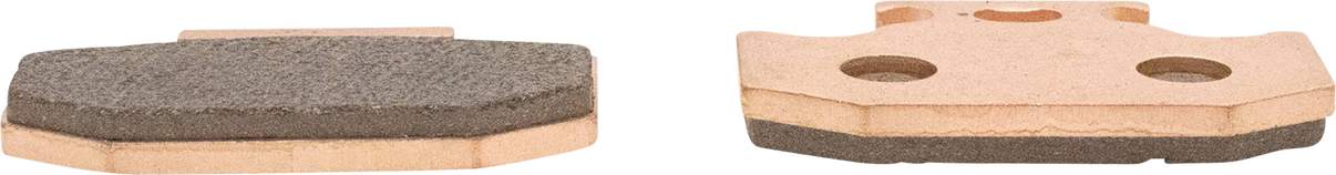 ALL BALLS Sintered Brake Pads 18-8055