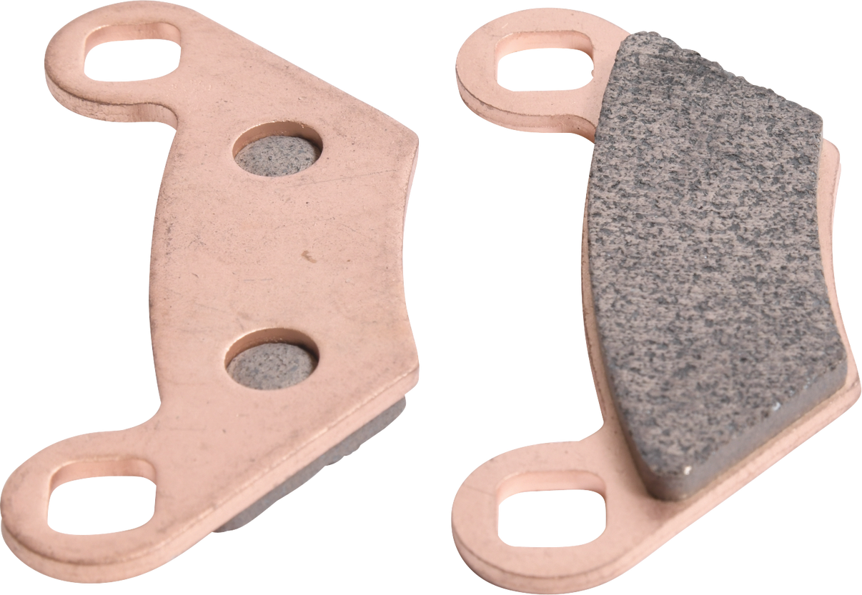 ALL BALLS Sintered Brake Pads 18-8019