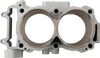 CYLINDER WORKS Cylinder Kit - Standard Bore - 93.00 mm - Polaris CW60008K03-1