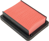 HIFLOFILTRO Replacement OE Air Filter - Yamaha HFA4507