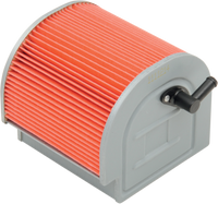 HIFLOFILTRO Replacement OE Air Filter - Honda HFA1212