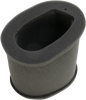 HIFLOFILTRO Replacement Air Filter - Kawasaki HFA2202