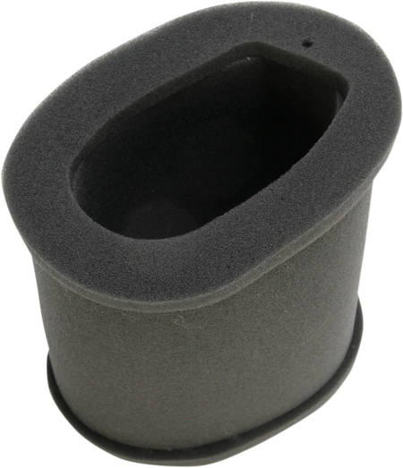 HIFLOFILTRO Replacement Air Filter - Kawasaki HFA2202