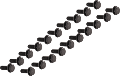 Beadlock 5/16" Bolt (20 Pcs) Gloss Black