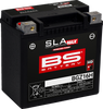 BS BATTERY Battery - BGZ16H 300931