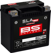 BS BATTERY Battery - BGZ16H 300931