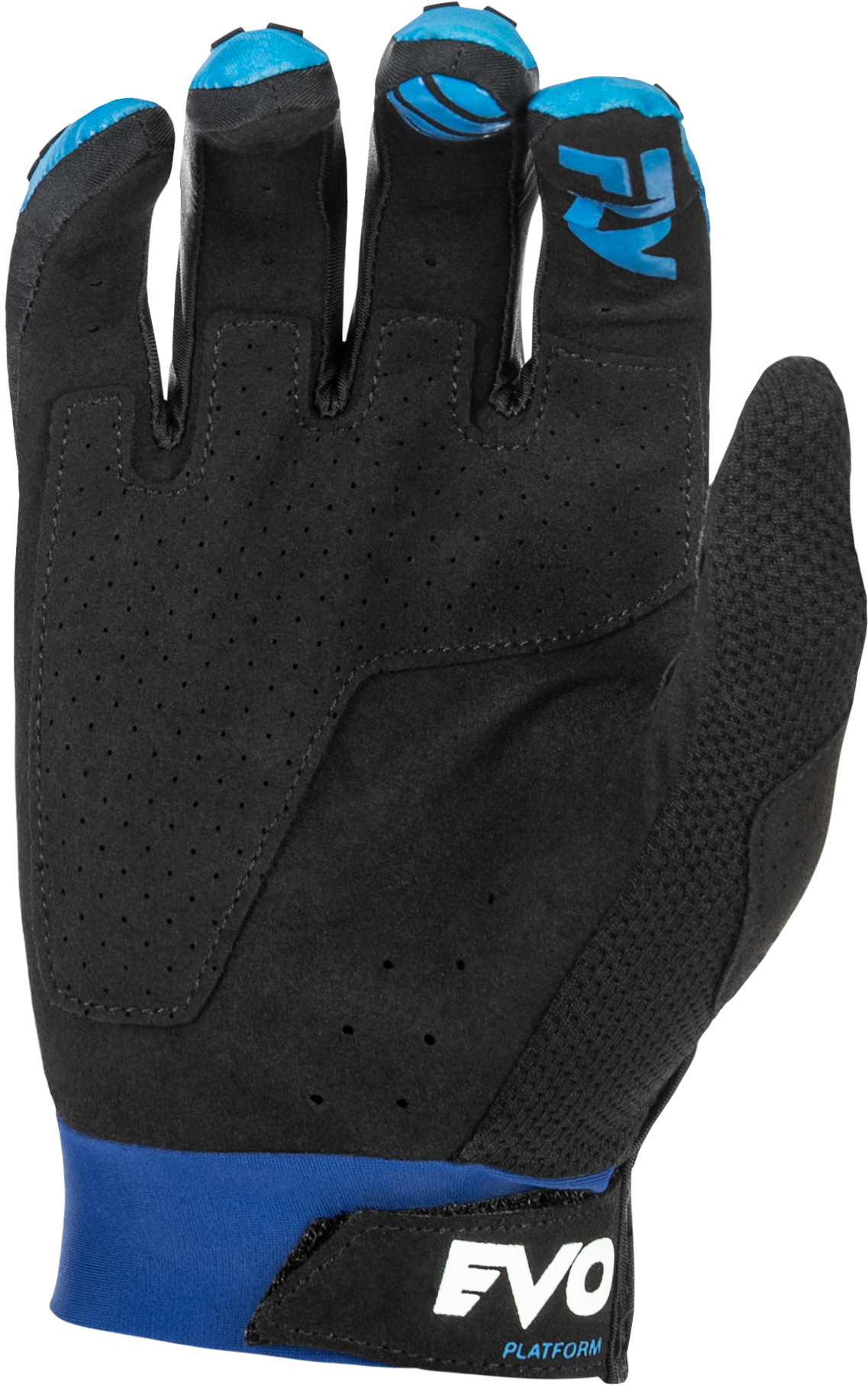 Evolution  Dst Gloves Blue/White 3x
