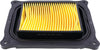 Air Filter Kit