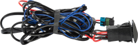 Actuator Wire Harness