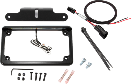 License Plate W/ Led