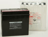 Battery Yt19bl Bs Maintenance Free