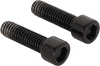 4/110 Center Cap Screws M4x16 2pcs Black