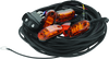 DragonFire Racing Whip Harness - 4 Seat- Dual
