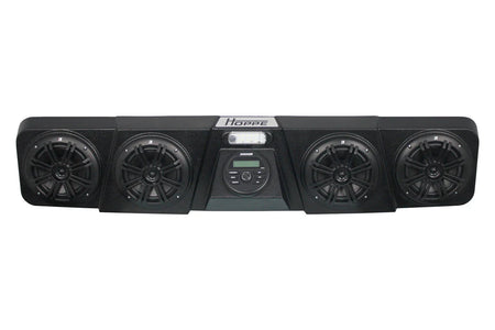 Hoppe Audio Mini for Pioneer 1000 2024-Current RGB HPEL-1009
