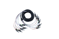 17' 6-Channel Ultra Twisted Interconnect