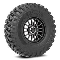 V14 DT 4x156 on Alpha H1 35x10R15