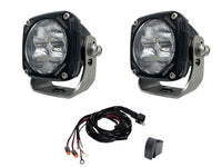 Dual Tlm3 Kit W/ Harness