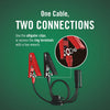 Plus 1.25 Amp 12 Volt Charger