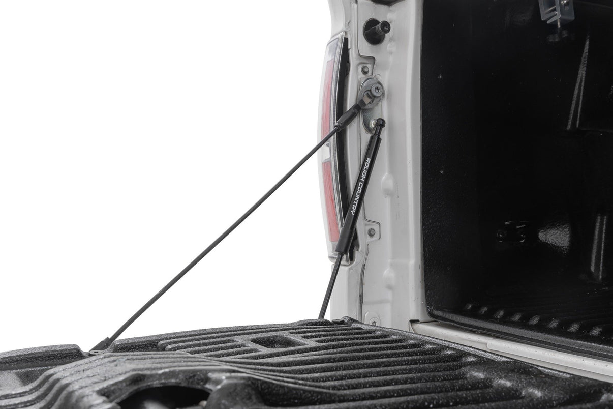 Tailgate Assist | Ford F-150 2WD/4WD (2004-2014) | 73214