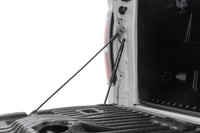 Tailgate Assist | Ford F-150 2WD/4WD (2004-2014) | 73214