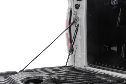 Tailgate Assist | Ford F-150 2WD/4WD (2004-2014) | 73214