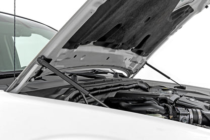 Hood Struts | Hydraulic | Nissan Frontier (2005-2021) | 82013