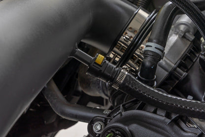 Rough Country | Cold Air Intake Kit | 5.0L | Ford  F-150 2WD/4WD (2021-2026) | 10473