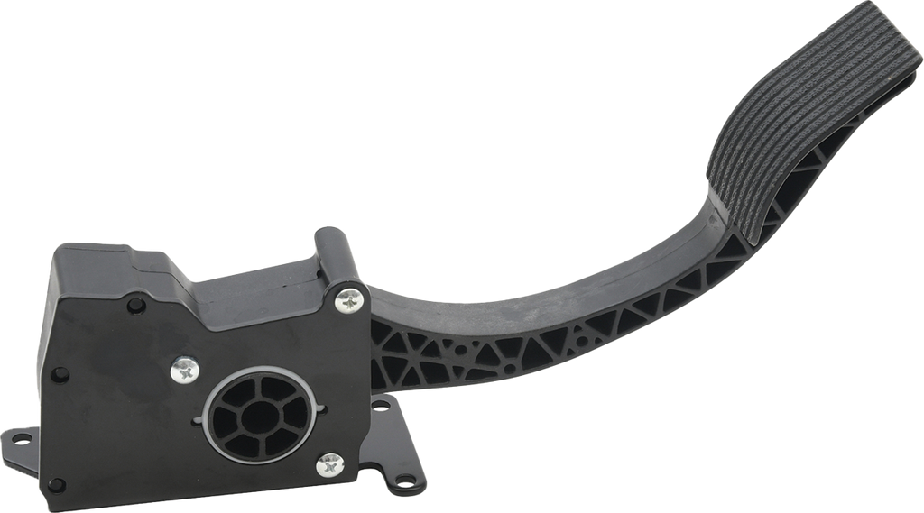Ride By Wire Throttle Assy Pol