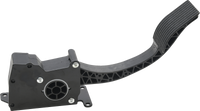 Ride By Wire Throttle Assy Pol