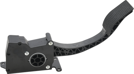 Ride By Wire Throttle Assy Pol