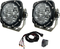 Dual Tlm5 Kit W/ Harness