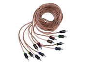 17' 6-Channel Interconnect