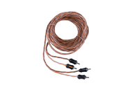 12' 2-Channel Interconnect