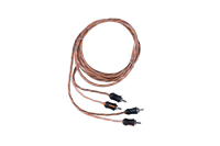 3' 2-Channel Interconnect