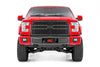 Mesh Grille | Ford F-150 2WD/4WD (2015-2017) | 70191
