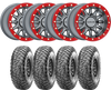 main_image_20260624001001.png